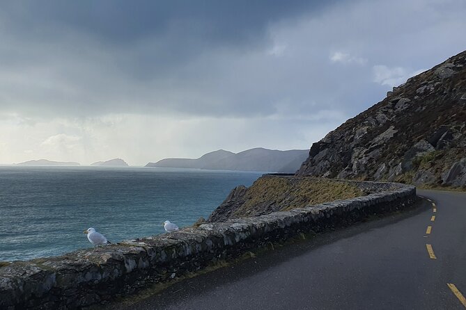 Dublin Airport to Galway ,Private Chauffeur Service - The value math: why $588.75 can be a smart move