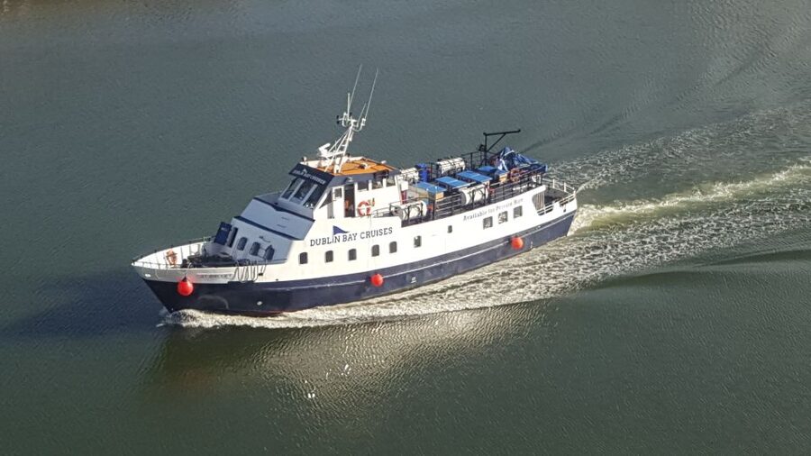 Dublin Bay: Cruise from the City Centre to Dun Laoghaire - Dublin docklands and the waterline view: what you’ll notice first