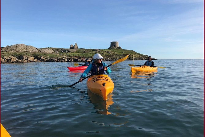 Dublin Bay Seal Kayaking Safari at Dalkey - Why Dublin Bay seal kayaking feels different from a typical tour