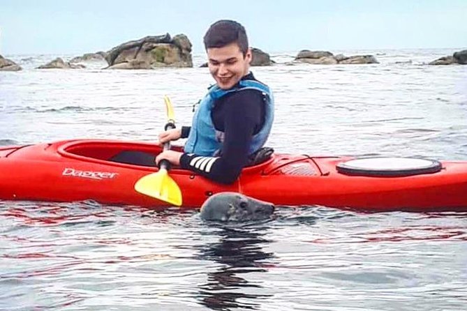 Dublin Bay Seal Kayaking Safari at Dalkey - From Bullock Harbour to Dalkey Island: how the 3 hours usually play out