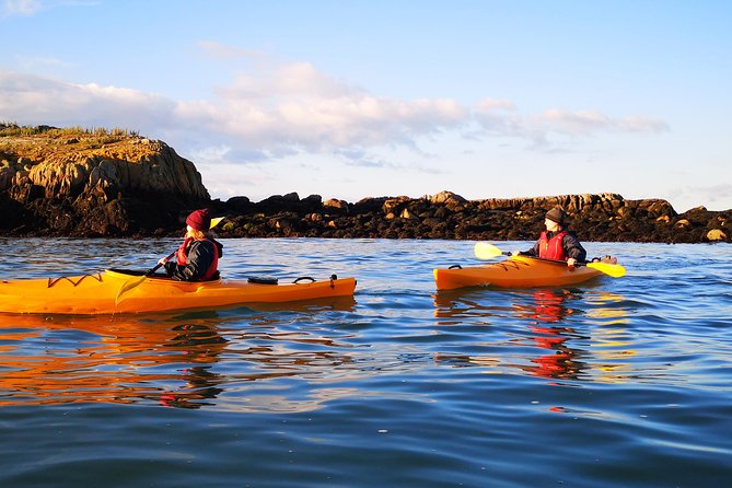 Dublin Bay Seal Kayaking Safari at Dalkey - Price and value: is $143.97 worth it?