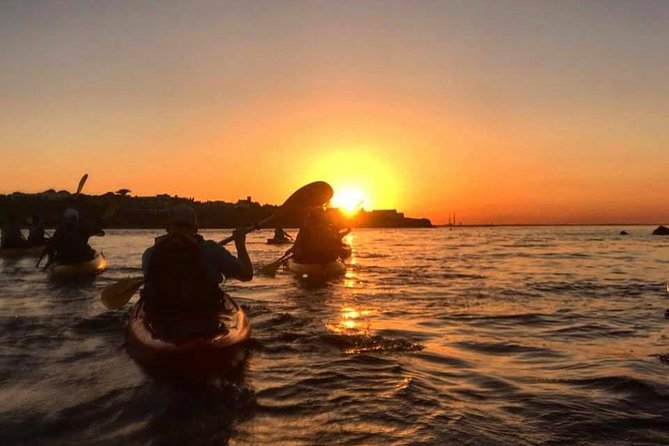 Dublin Bay Seal Kayaking Safari at Dalkey - Gear and swim basics: what you really need to bring