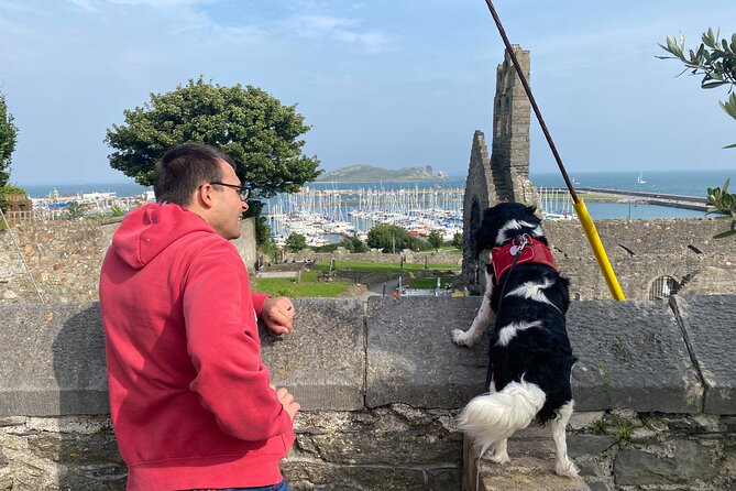 Dublin Coastal Hike and Pints with A local & His Dog Private tour - From Howth Dart Station to first sea views: how this tour sets the pace
