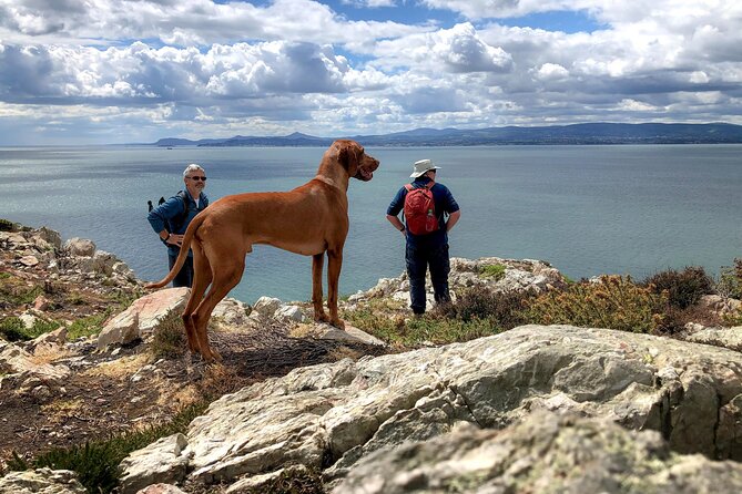 Dublin Coastal Hike with Howth Adventures - Howth is the best way to see Dublin’s coastline without the hassle