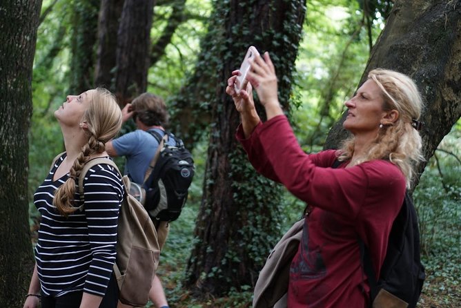 Dublin Coastal Hike with Howth Adventures - Meeting at Howth Market and what the 3-hour flow feels like