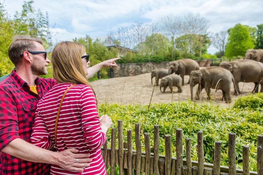 Dublin Explorer Pass: Save up to 50% on 3 to 7 Attractions - Reservations, Timing, and the Stuff That Can Trip You Up