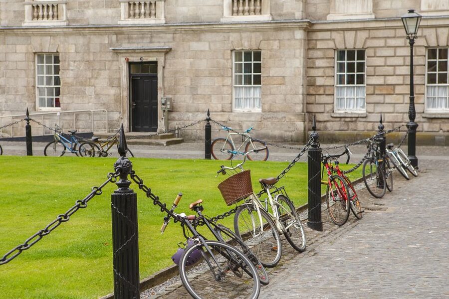 Dublin: Fast-Track Book of Kells Ticket & Dublin Castle Tour - How the guide helps you read medieval symbolism