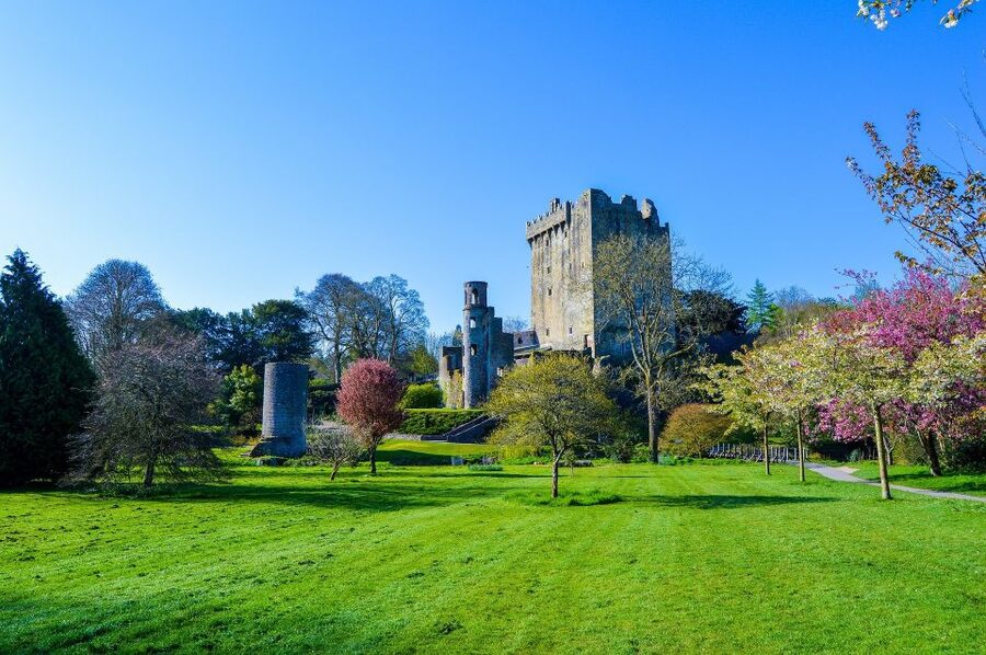 Dublin: Full-Day Tour to Cork, Cobh and Blarney Castle - Blarney Village Free Time: Lunch and a Slower Pace Inside the Classic Stop