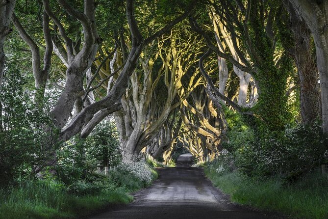 Dublin: Giant's Causeway, Dark Hedges, Dunluce and Belfast Titanic entrance fee - Quick take on what makes this tour work
