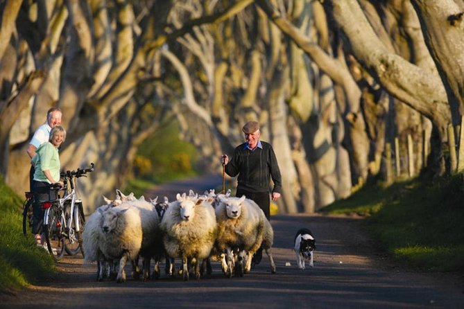 Dublin: Giant's Causeway, Dark Hedges, Dunluce and Belfast Titanic entrance fee - Price and value: what $102.79 buys you on this day trip