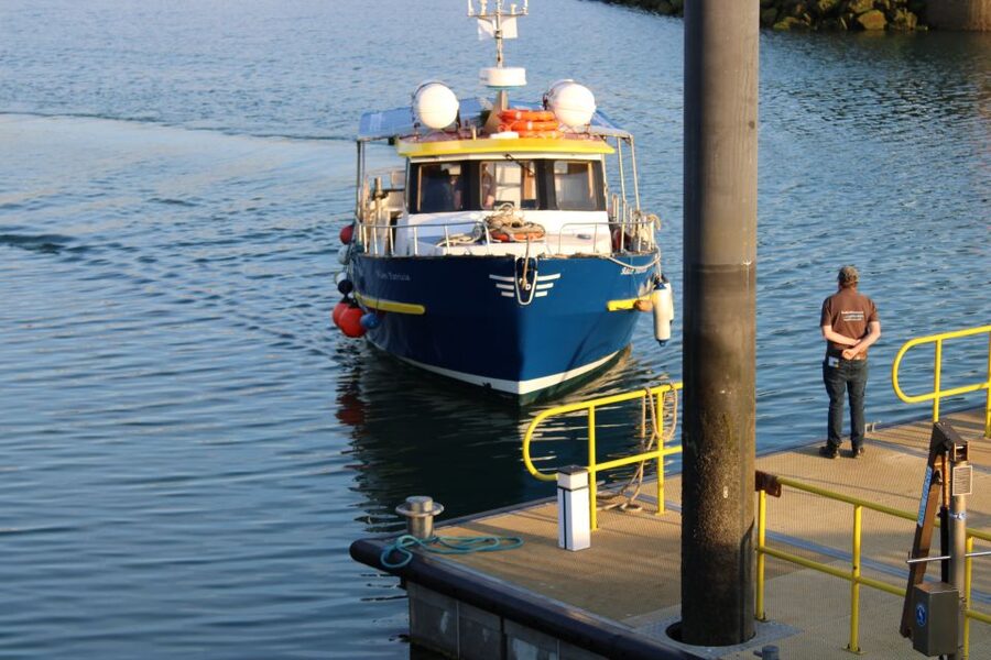 Dublin: Howth Cliffs and Lighthouse Cruise - The cruise itself: what you see while heading past Howth and Balscadden Bay