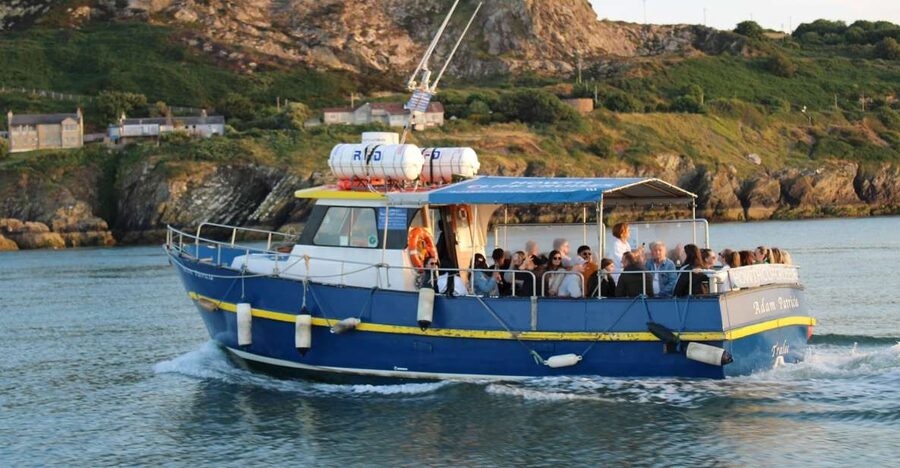Dublin: Howth Cliffs and Lighthouse Cruise - Price and value: is a $28 half-hour boat cruise worth it?