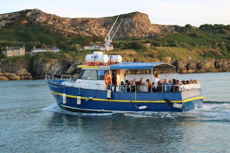 Dublin: Howth Cliffs and Lighthouse Cruise - Getting to the boat: West Pier meeting point in Howth