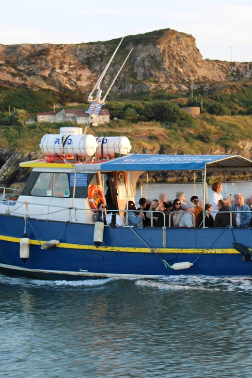 Dublin: Howth Coast and Ireland's Eye Boat Tour - Ireland’s Eye from the Water, the Big Sights You’ll Actually See