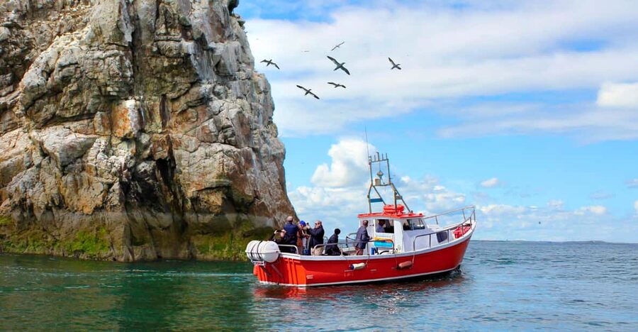 Dublin: Howth Coastal Boat Tour - Key things you’ll notice on this Howth Coastal Boat Tour