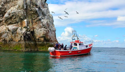 Dublin: Howth Coastal Boat Tour - From Howth to Ireland’s Eye: a 50-minute coast-and-wildlife reset