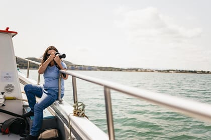 Dublin: Howth Coastal Boat Tour - Seals, dolphins, and how wildlife watching really works on a boat