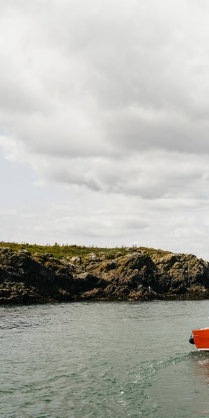 Dublin: Howth Coastal Boat Tour - Price and value: is $28 for 50 minutes fair?