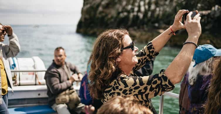 Dublin: Howth Coastal Boat Tour - Where to meet at 9 W Pier (and how not to stress about it)