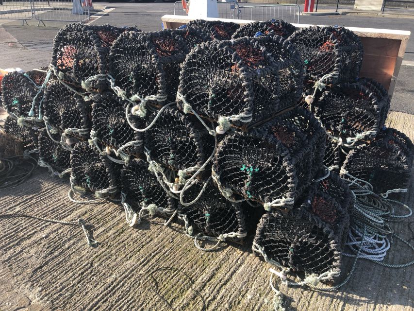 Dublin: Howth Coastal Craft Beer and Seafood Tour - Seafood Feast Along the Shore: Shrimp, Mussels, and More Than Snacks