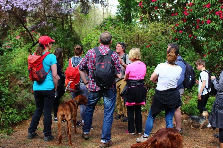 Dublin: Howth Coastal Hiking Tour - Back to the harbour: finishing with local advice that saves you time