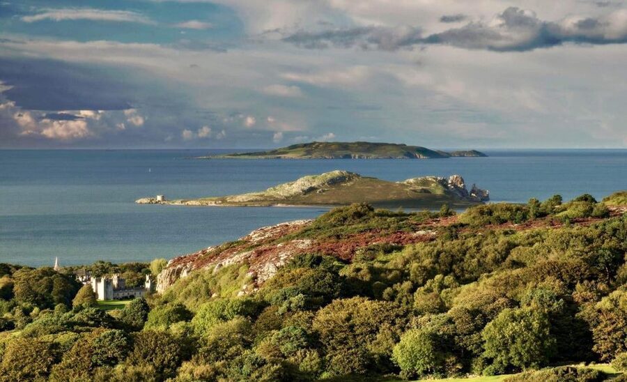Dublin: Howth Coastal Hiking Tour - Viewpoint stop: the 20-minute pause that buys you better photos