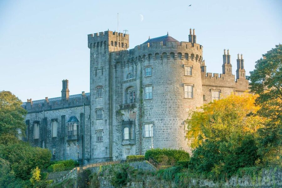 Dublin: Kilkenny, Wicklow & Glendalough Tour & Sheepdog Show - A Real Sheep Farm Stop: sheepdog demonstration that steals the show