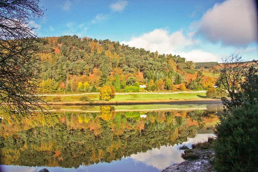 Dublin: Kilkenny, Wicklow & Glendalough Tour & Sheepdog Show - Getting the Most Out of a Long Day Trip
