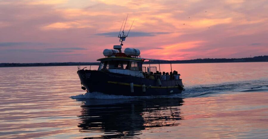 Dublin: Sunset Cruise in Howth - Captain commentary that makes the coast click