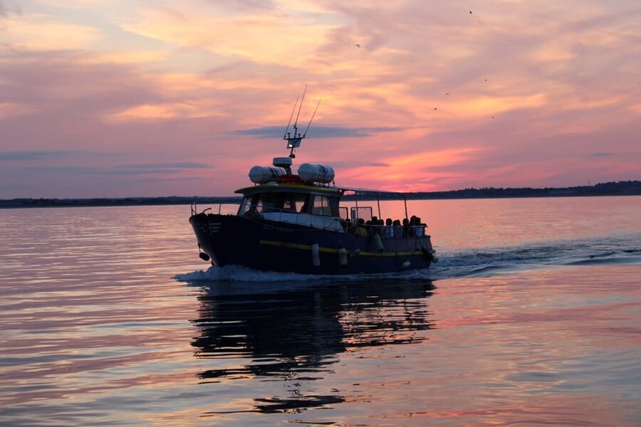 Dublin: Sunset Cruise in Howth - The cruise route: Howth Harbour, Howth Cliffs, and Ireland’s Eye