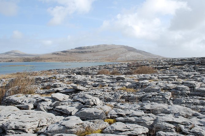 Dublin to Cliffs of Moher, Burren, Wild Atlantic Way, Galway Tour - Galway Free Time: City of Tribes, Seafood, and Music on Your Terms