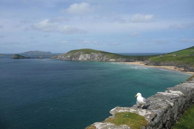 Dublin to South West 5 Day Small-Group Tour with Accommodation - Where you sleep in Galway and Killarney, and how to choose your lodging style