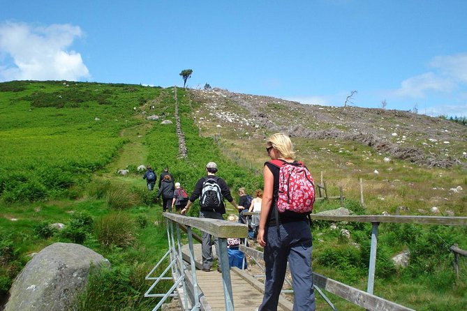 Dublin to Wicklow, Glendalough Small Group Tour with Guided Walk - The van, the pace, and small-group reality checks