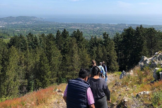 Dublin to Wicklow, Glendalough Small Group Tour with Guided Walk - Price and value: what $90.74 gets you, and what it does not