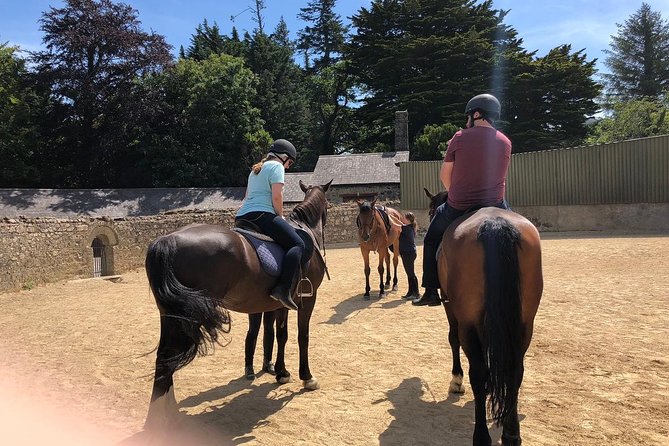 Dublin to Wicklow, Glendalough Small Group Tour with Horse Riding - How the small group pace really feels (and who it suits)