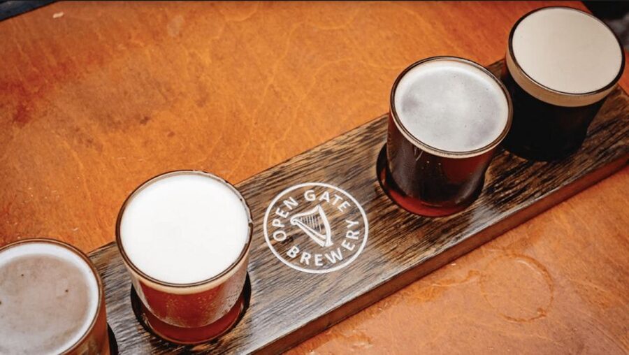 Dublin: Traditional Pubs Walking Tour with Local Guide - Price and Value: $31 for the Tour, Plus About €25 for Drinks
