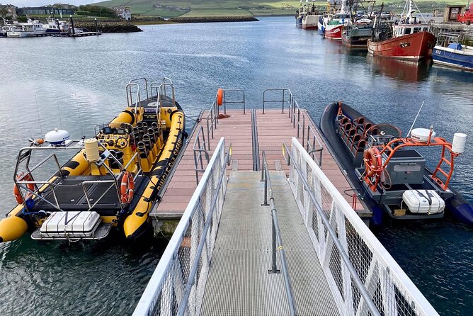 Exhilarating Rib experience - Dingle sea safari - The wildlife checklist: seals, dolphins, puffins, and the whale odds