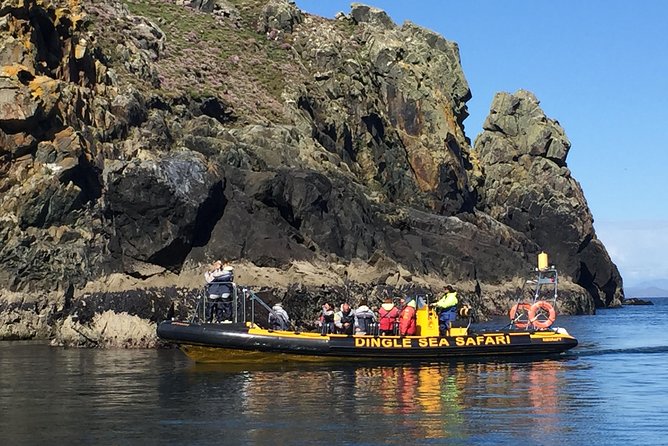 Exhilarating Rib experience - Dingle sea safari - The Blasket Islands view from the RIB: what you learn without trying