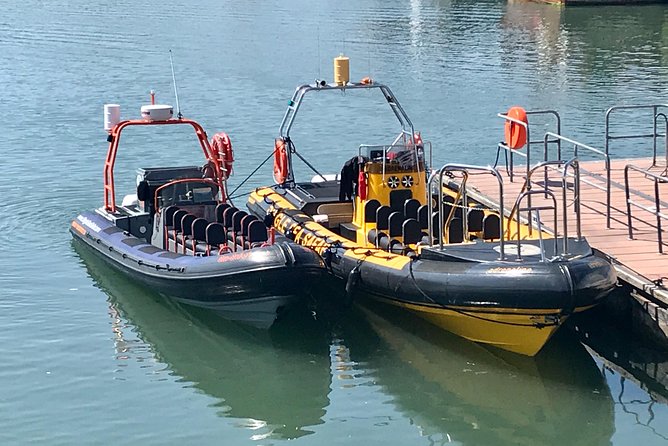 Exhilarating Rib experience - Dingle sea safari - Price and value: is about $121 per person a fair deal?