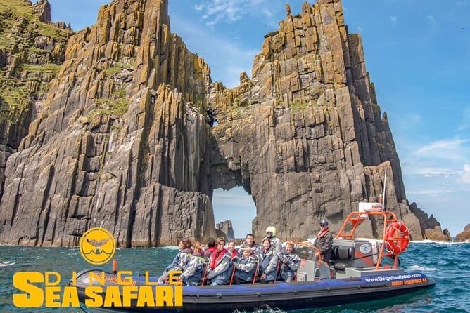 Exhilarating Rib experience - Dingle sea safari - Who this Dingle Sea Safari fits best