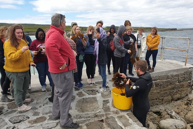 Food, heritage & cultural tour Inishmore, Aran Islands. Guided. - Getting onto the island: pickup plus a stress-free plan