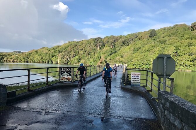 Forks, Focail and Folklore - Storytelling Tour via eBike - Bláth na Gréine (Stop 3), Woodland Cycling With a Folklore Beat