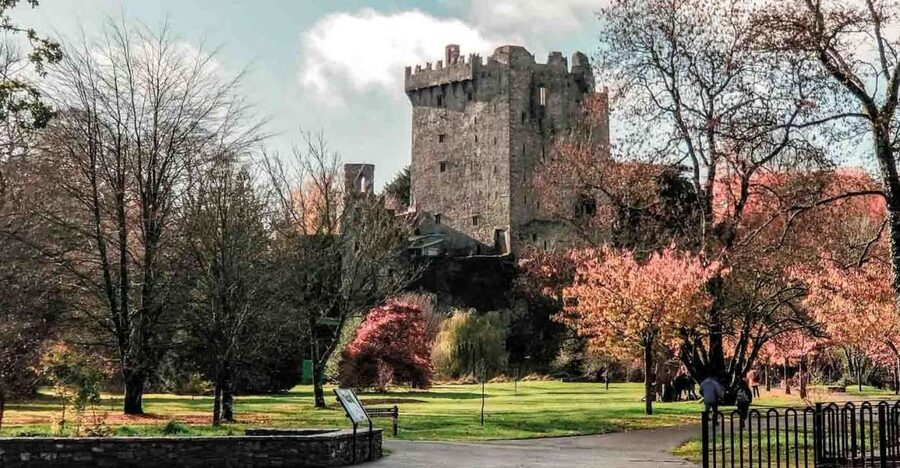 From Cork: County Cork Highlights Tour with Entrance Tickets - Blarney Castle and Gardens, skip-the-line plus the practical reality of the climb
