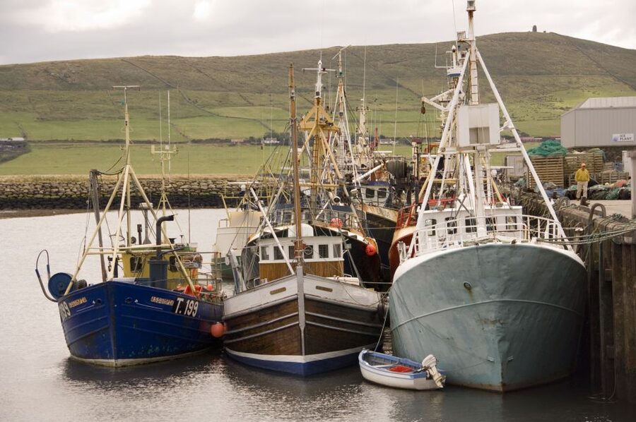 From Cork: Full-Day Guided Tour to Dingle Peninsula - Dingle town: the peninsula’s heart, with room for real strolling