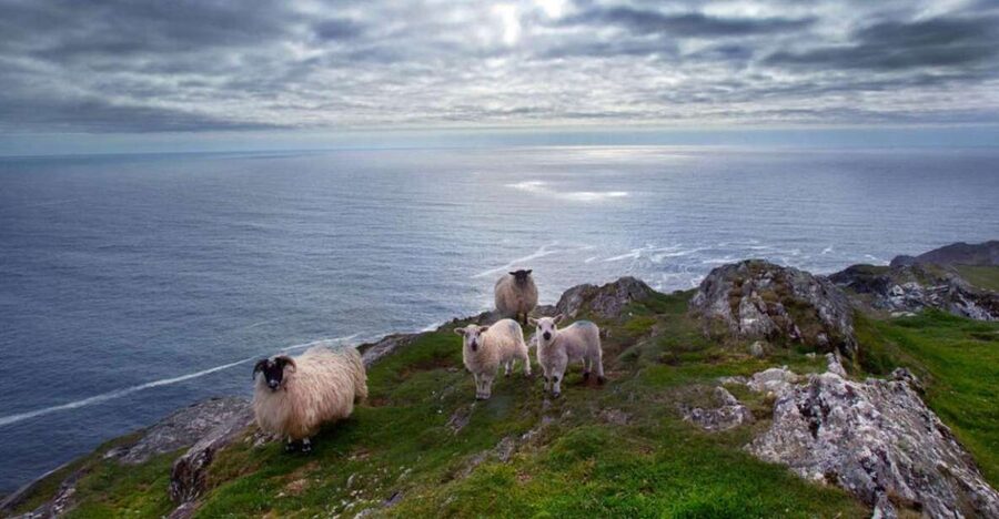 From Cork: Guided Full-Day West Cork to Mizen Head Tour - Key Stops Worth Marking on Your Map