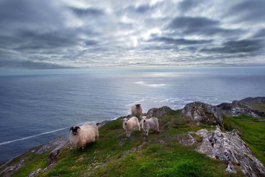 From Cork: Guided Full-Day West Cork to Mizen Head Tour - First Stop: Gougane Barra, Oldest National Forest Park and St Finbarr’s Oratory