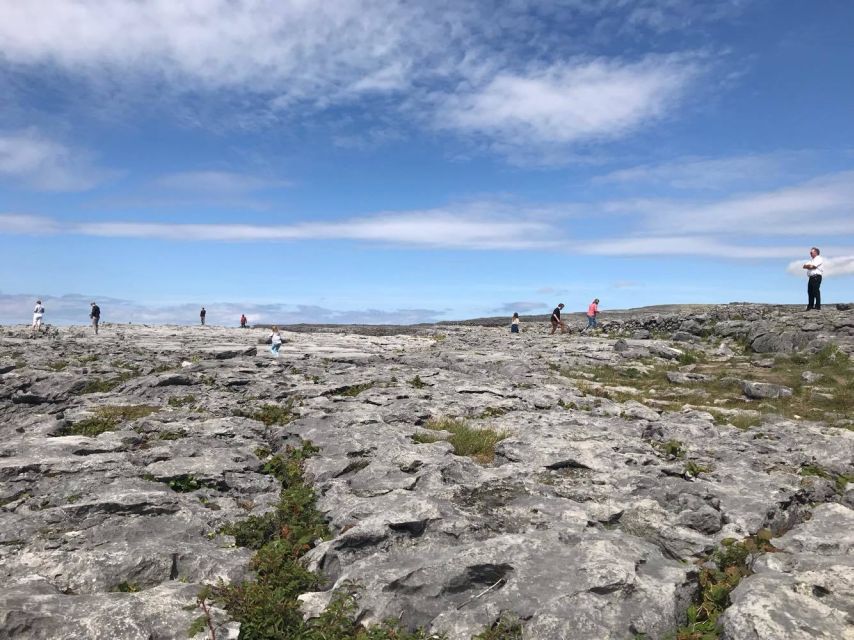 From Dublin: 3-Day Cork, Ring of Kerry, Ciffs of Moher Tour - Day 2: Ring of Kerry, the Iveragh Peninsula, and Lakes of Killarney
