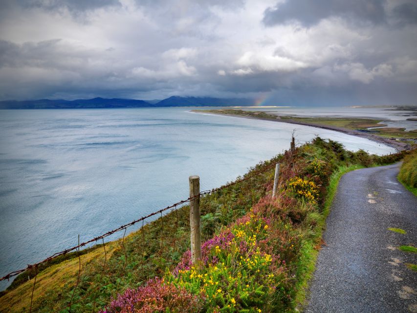 From Dublin: 3-Day Cork, Ring of Kerry, Ciffs of Moher Tour - Price and What You Get for About $1,041 Per Person