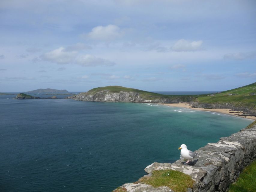 From Dublin: 5-Day Tour to the Southwest with Accommodation - Where You’ll Sleep: Small En-Suite B&Bs, and What to Watch For