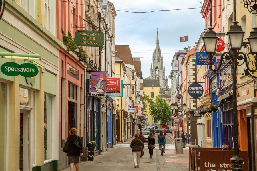 From Dublin: Blarney, Rock of Cashel and Cahir Castles Tour - Blarney Castle and Gardens: The Stone, the Steps, and the Misty Green Mood